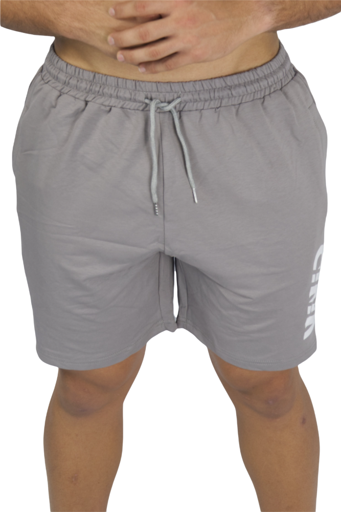 Classic Training Shorts - Grey