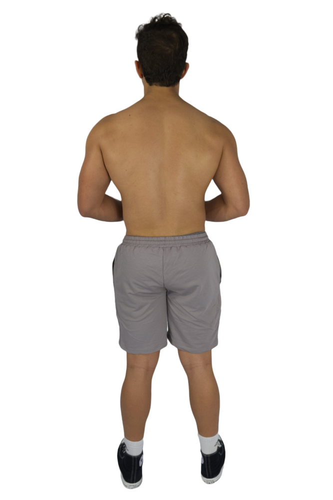 Classic Training Shorts - Grey